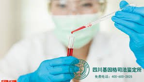刚怀上孕可以做亲子鉴定吗?